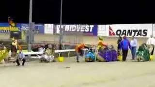 Camel Races at Harold Park