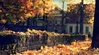 Golden Autumn Town 🍂 &mdash; 🍁 Nature Sounds and Crunching Twigs 🍁