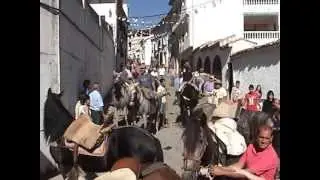 Villaverde de Guadalimar. Fiestas 2012. Segundo encierro.