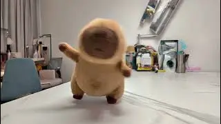 Дикий танец капибары!🎵