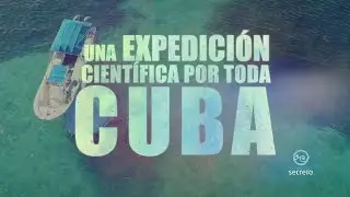 Naturaleza Secreta Capítulo 1 Bojeo a Cuba