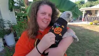 Ms. Kerry Harvests a Pumpkin!(2)