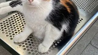 İstanbul boğazı turları