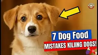7 DEADLY Dog Food Mistakes You MUST AVOID (Toxic Foods)