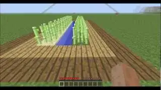 Minecraft MythBusters: Sugarcane Growth