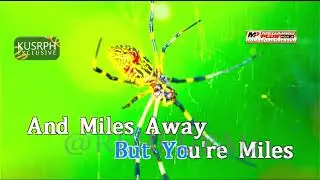 Borrowed Time - Cueshe || Megapro plus midi karaoke 