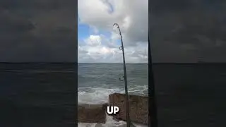 ОГРОМНЫЙ окунь-бык с причала Порт-Аранзас! #рыбалка #морскойокунь #морскаярыбалка