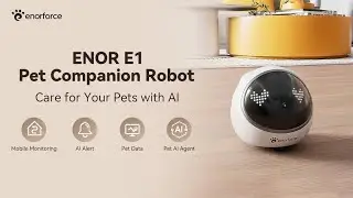 ENOR E1&mdash;Your Pet Is Never Alone: The AI Robot Every Owner Is Talking About