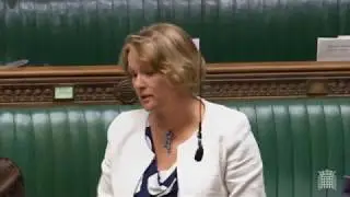 Former MEP Vicky Ford warns against EEA option