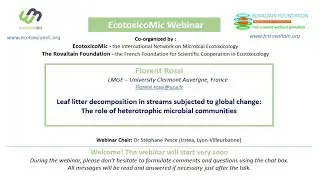 Leaf litter decomposition in streams subjected to GC: role of heterotrophic microbial communities