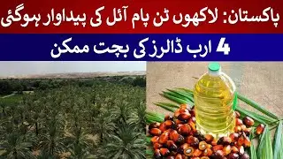 Pakistan: 1 million metric tonnes of palm oil have been produced locally