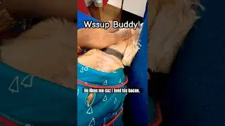 Life. Is. Good. #family #life #dog #pets #cute #puppy #youtubeshorts #shorts #viral #ytshorts #fyp