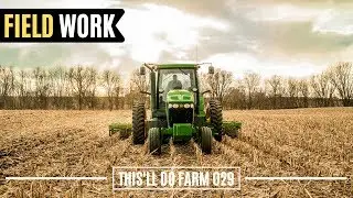 The Start Of Spring Field Work 2020