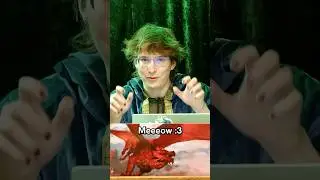 Refusing To Play D&D Until Our DM Meows And Means It