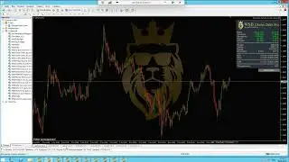 Установка робота WSB Cluster Delta Pro by puls-invesr.ru