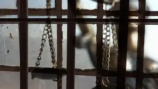 Casketgarden - I Witness - Official Lyric Video - Remastered 20th Anniversary Reissue