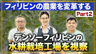 【農業変革】デンソーフィリピンの水耕栽培工場を視察/製造業と農業の統合【Part2】