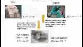 AGORACOM Online Conference - First Bauxite Corporation - Presenting Company Part 3.flv