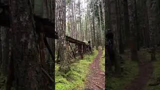 BikeVid