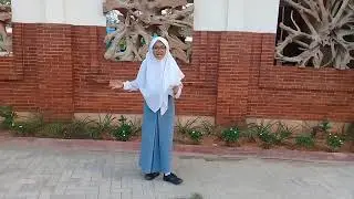 KANDAS / TRIA P. / XII IPA 4