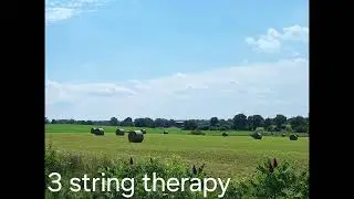 3 string therapy   slide reverb