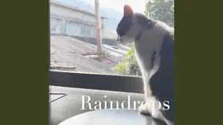raindrops