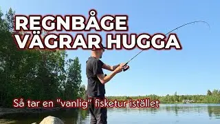 FISKE | Regb&aring;ge v&auml;grar hugga | HJ&Auml;LP | S&aring; tar en klassisk fisketur ist&auml;llet | ABBORRE | G&Auml;DDA