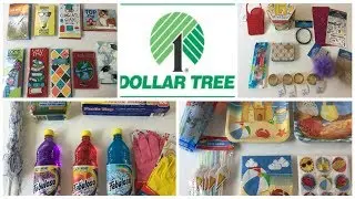 That one time I went to the Dollar Tree | DT HAUL