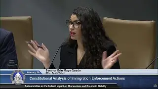 ICE in MN: Senate Committee hearing on Operation Metro Surge [Part 1]