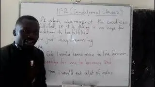If2 ( conditional clause 2)