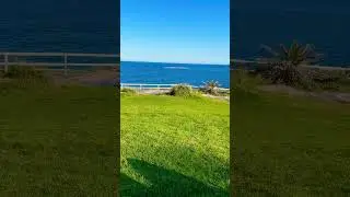 Beautiful Sydney views #australia #sydney #ocean #views