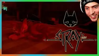 Paper bag kitty - Stray ep.2