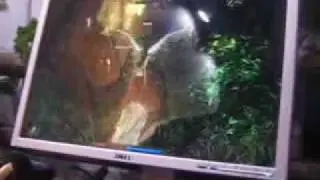 Leaked Risen (Gothic Follower) Gameplay Video