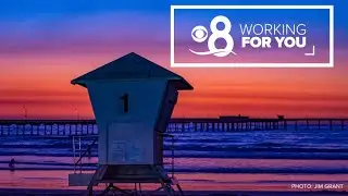 Working For You | Stories from the San Diego Community