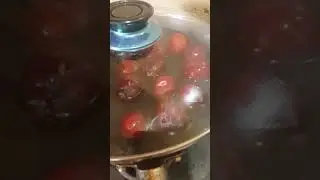 fresh plum juice (the cooking)#short  aloo bukhare ke sherbat recipe