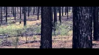 Tony Hewitt // AIPP APPA ~ Canon Photographer of the Year 2013 :: Preface Films