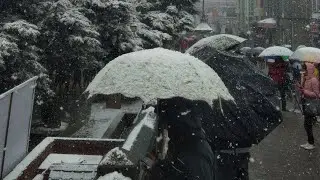 SHIMLA Snowfall 2020🥶