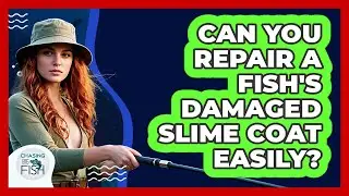 Can You Repair A Fish's Damaged Slime Coat Easily? - Chasing Big Fish