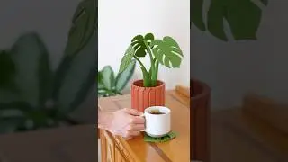 I&rsquo;m re-inventing plants