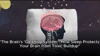The Brain's 'Cleaning System': How Sleep Protects Your Brain from Toxic Buildup