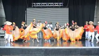 Muestra Caiman Cienaguero - Bogota (Edwin Rojas Olarte)