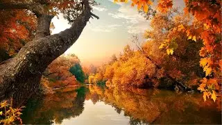 Relaxing Ambient Fall Music for Relaxing & Focus | Background Music for Home or Office