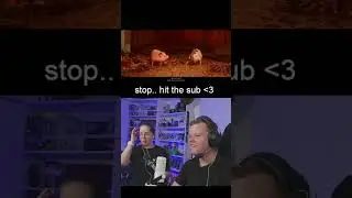 ITS THE PIG LEVEL  - Split Ficiton