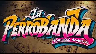 TEMA LIMPIO 2025 POBRE CORAZÓN LA 🐶PERRO BANDA🐶CUMBIA SONIDERA#CUMBIASONIDERA#CUMBIA