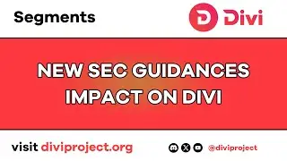 Divi Segments - New SEC Guidance's Impact On Divi