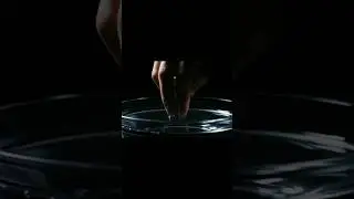 This is what TIME feels like slowed down #slowmotionASMR #oddlysatisfying #relaxingsounds  #asmrtime