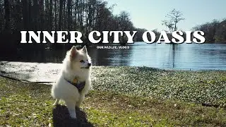 Inner City Oasis | Exploring Greenfield Park in Wilmington, NC