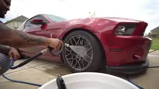 ThatGuyMarin&rsquo;s Shelby GT500 Quick Wash W/ Adams Polishes