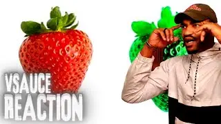 Army Veteran Reacts to- Vsauce: Is Your Red the same as My Red.
