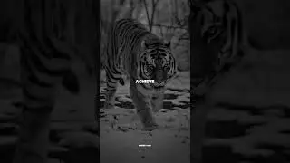 100% #inspiration #mindset #motivation #quotes #animals #discipline #shorts